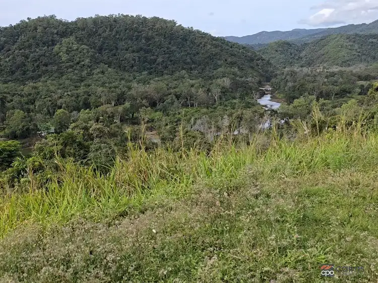 Third view of Homely land listing, 3228 Rossville Bloomfield Road, Bloomfield QLD 4895