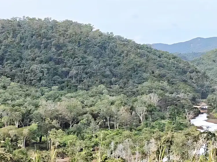 Third view of Homely land listing, 3228 Rossville Bloomfield Road, Bloomfield QLD 4895