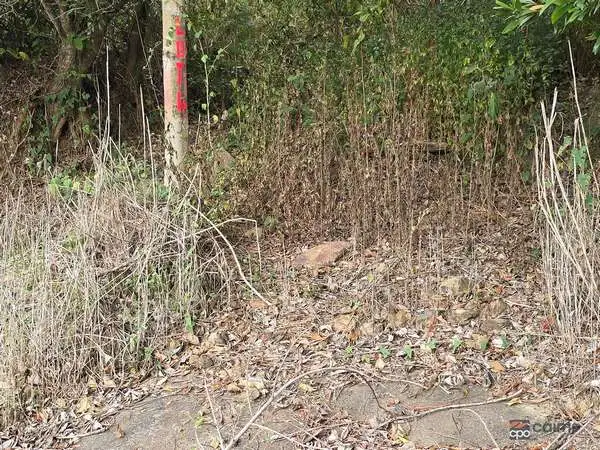 Fifth view of Homely land listing, 3228 Rossville Bloomfield Road, Bloomfield QLD 4895