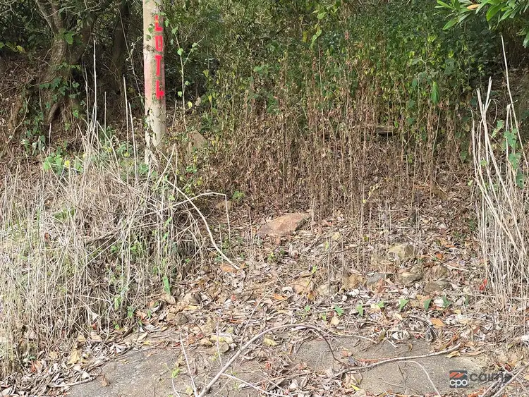 Sixth view of Homely land listing, 3228 Rossville Bloomfield Road, Bloomfield QLD 4895