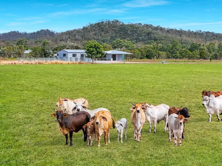 Main view of Homely rural property listing, 1028 Bilwon Road, Biboohra QLD 4880