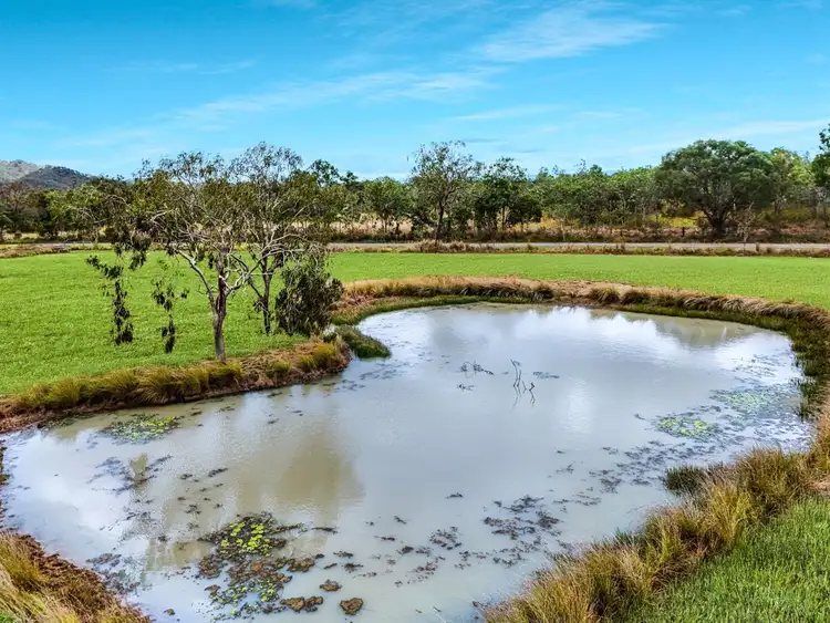 Fourth view of Homely rural property listing, 1028 Bilwon Road, Biboohra QLD 4880