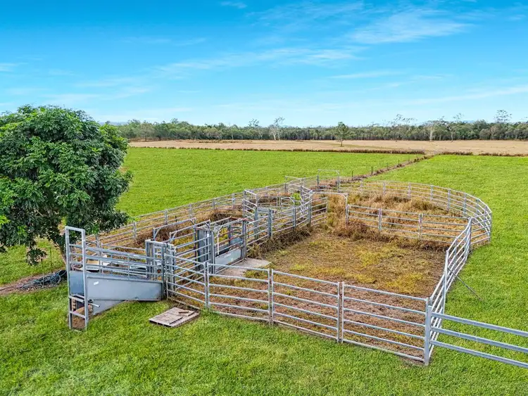 Fifth view of Homely rural property listing, 1028 Bilwon Road, Biboohra QLD 4880