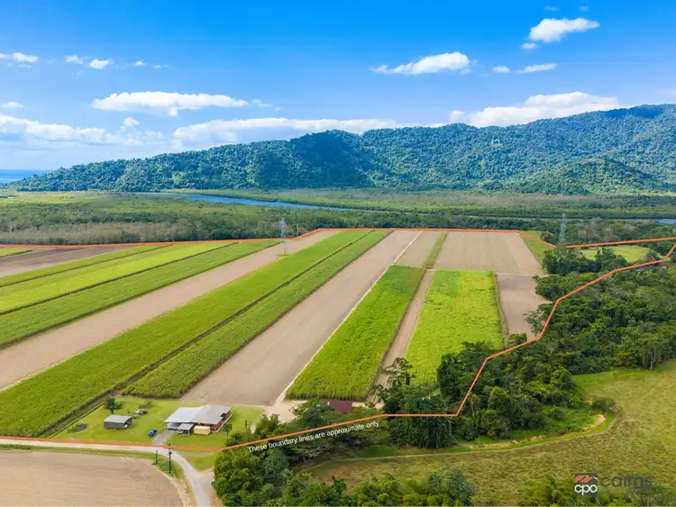 Third view of Homely rural property listing, 80 Haren Road, Bellenden Ker QLD 4871