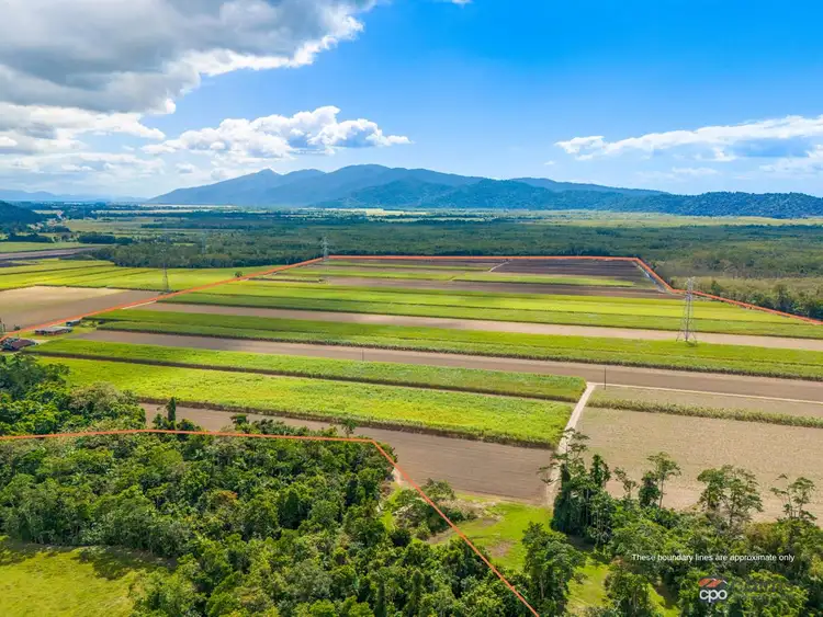 Fifth view of Homely rural property listing, 80 Haren Road, Bellenden Ker QLD 4871