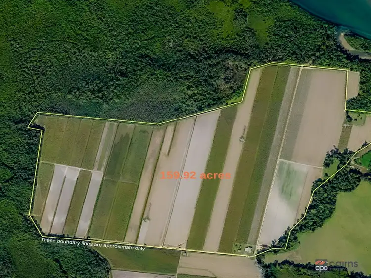 Sixth view of Homely rural property listing, 80 Haren Road, Bellenden Ker QLD 4871