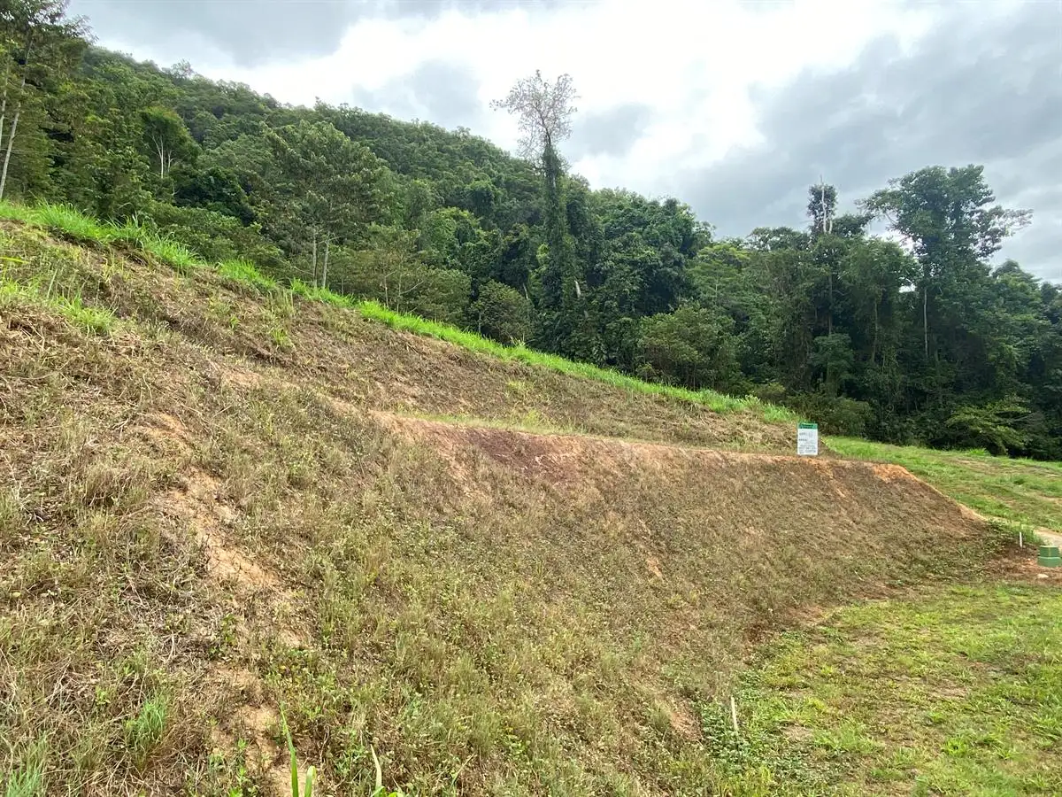 Main view of Homely land listing, LOT Lot 12, 93-95 Cascades Drive, Redlynch QLD 4870