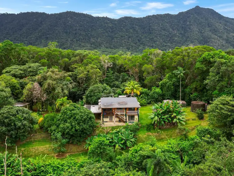 134 Ronald Road, Forest Creek, Daintree QLD 4873