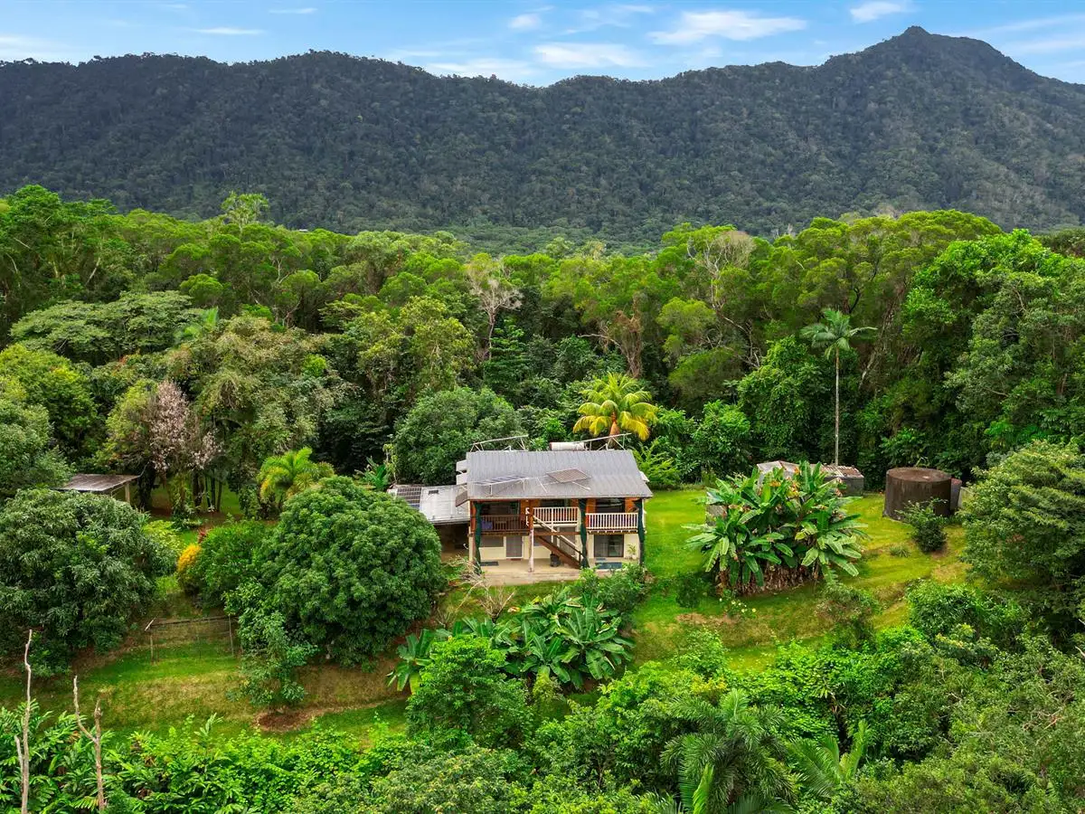 Main view of Homely house listing, 134 Ronald Road, Forest Creek, Daintree QLD 4873