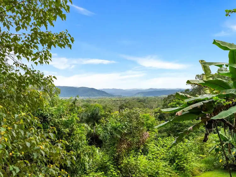 Second view of Homely house listing, 134 Ronald Road, Forest Creek, Daintree QLD 4873