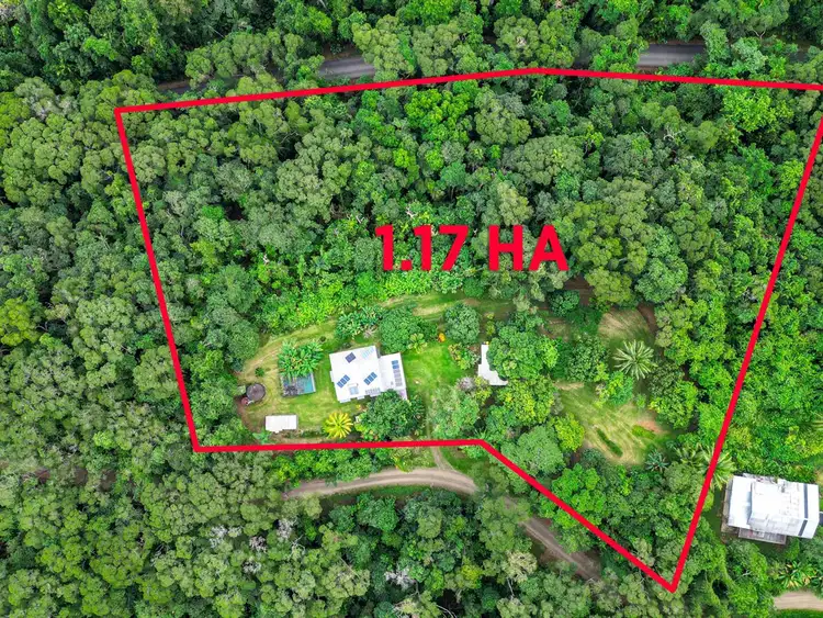 Third view of Homely house listing, 134 Ronald Road, Forest Creek, Daintree QLD 4873