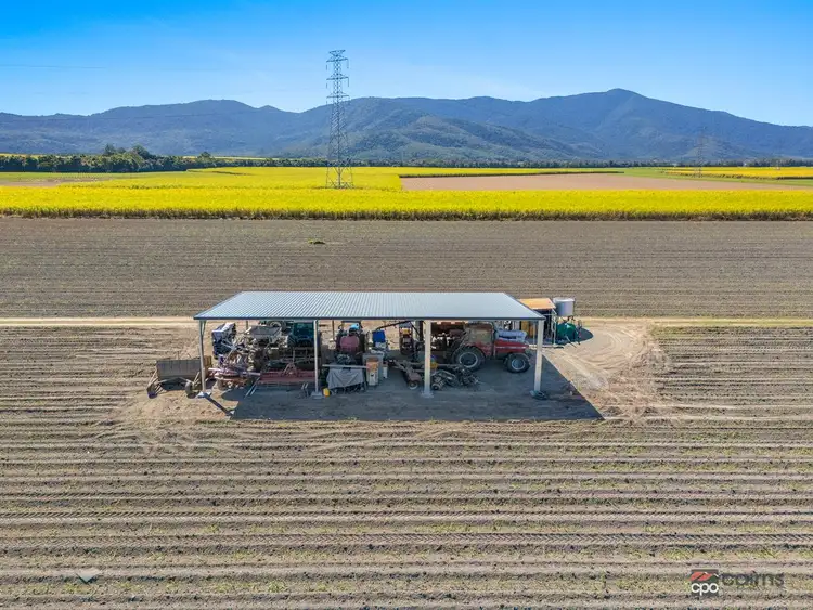 Fifth view of Homely rural property listing, 1 Napier Road, Green Hill QLD 4865