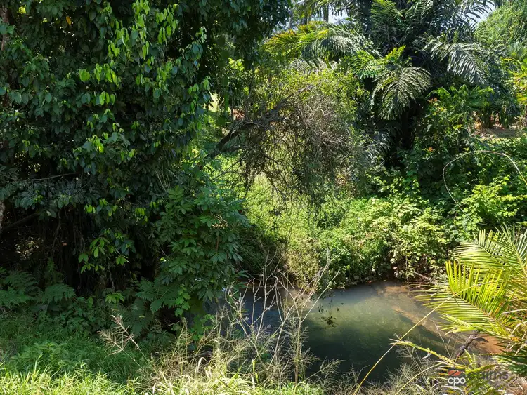 Third view of Homely rural property listing, 136 Menzies Road, Bartle Frere QLD 4861