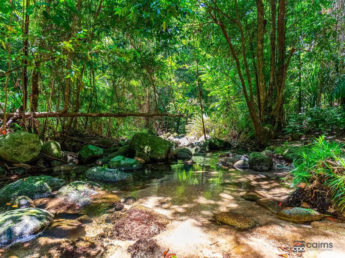 Main view of Homely rural property listing, 176 Healy Road, Mirriwinni QLD 4871