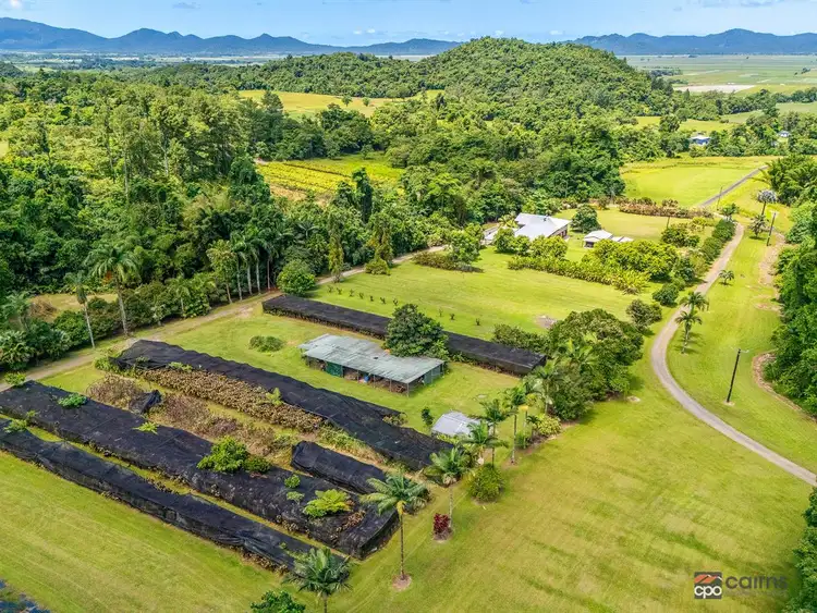Third view of Homely rural property listing, 176 Healy Road, Mirriwinni QLD 4871