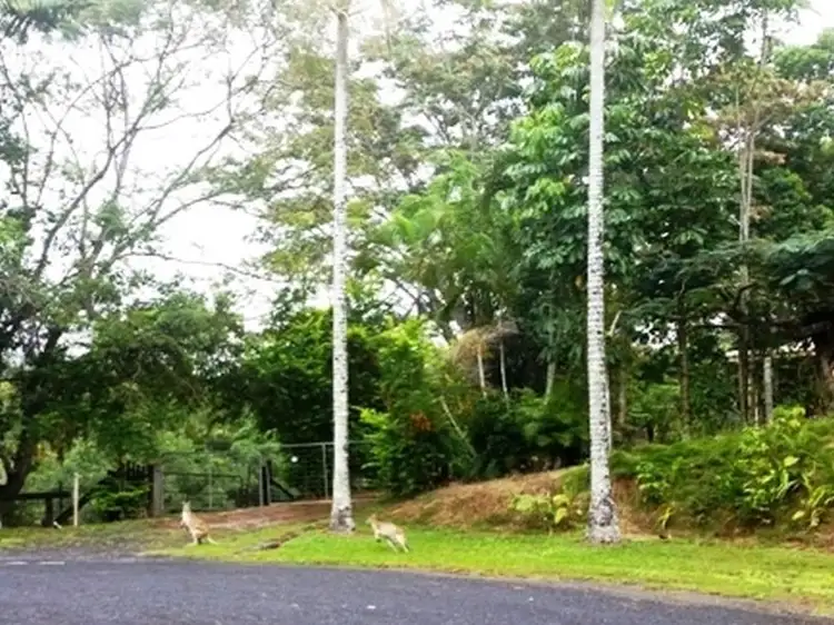 6 Outlook Crescent, Kuranda QLD 4881