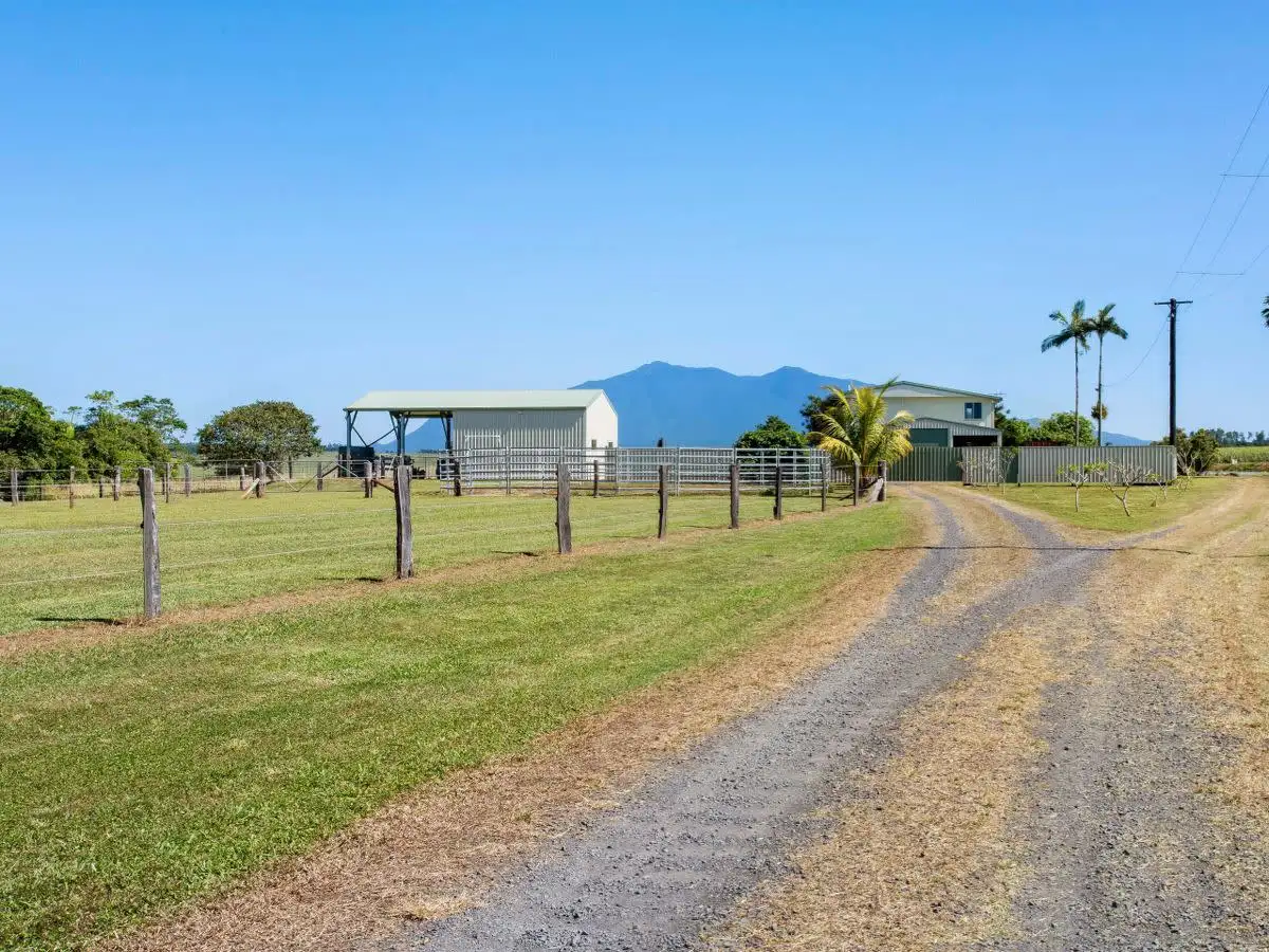 Main view of Homely rural property listing, 65491 Bruce Highway, Innisfail QLD 4860