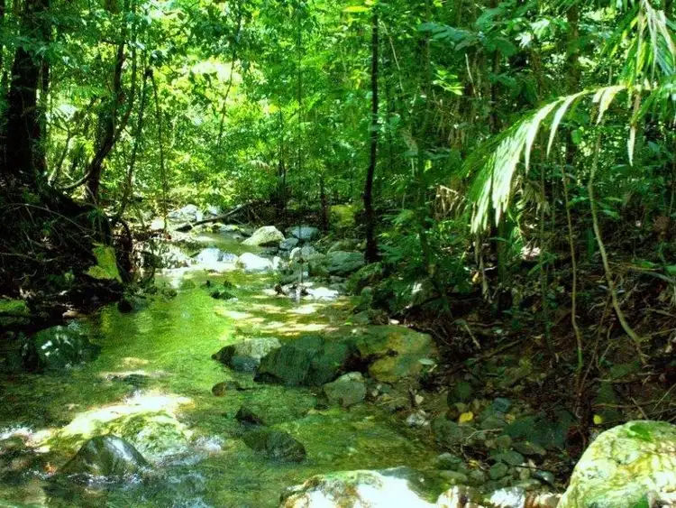 Third view of Homely rural property listing, Lot 4 Brays Road, Little Mulgrave QLD 4865