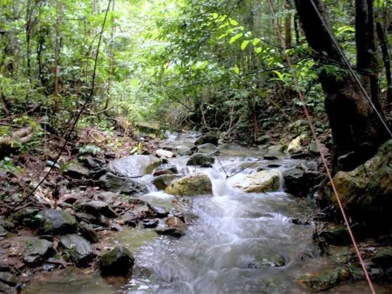 Main view of Homely rural property listing, Lot 4 Brays Road, Little Mulgrave QLD 4865