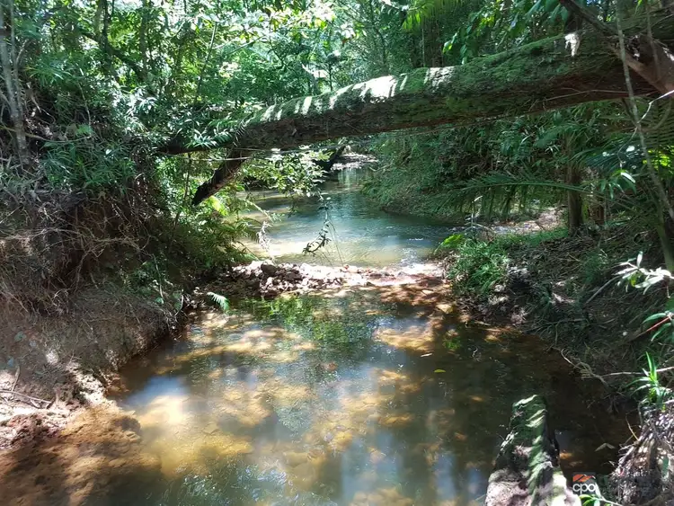 Second view of Homely land listing, 1049 Woopen Creek Road, Mirriwinni QLD 4871