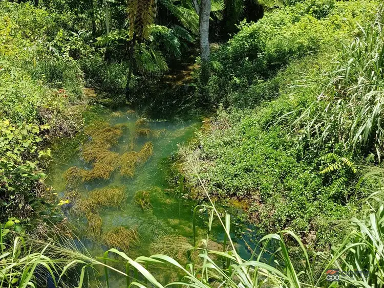 Fourth view of Homely land listing, 1049 Woopen Creek Road, Mirriwinni QLD 4871