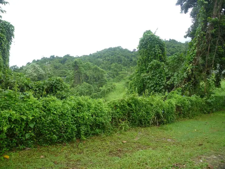 Seventh view of Homely house listing, 57 - 65 Christian Street, Babinda QLD 4861