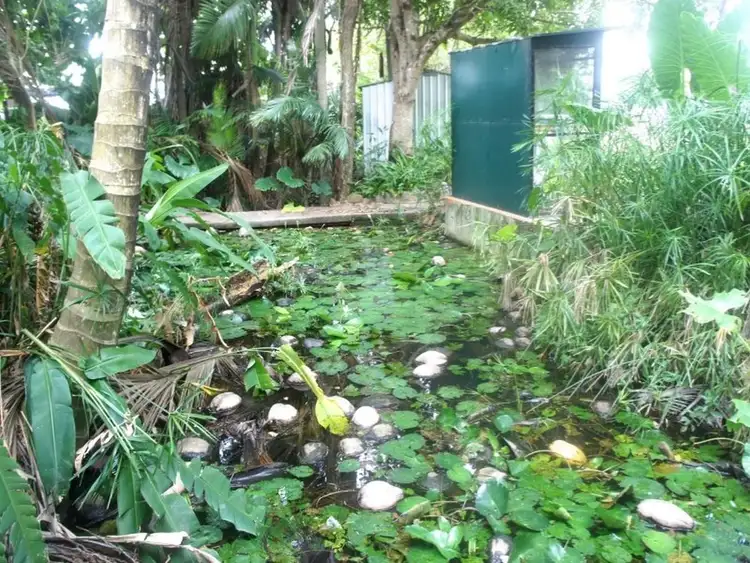 Seventh view of Homely house listing, 47-49 Old Bruce Highway, Bentley Park QLD 4869