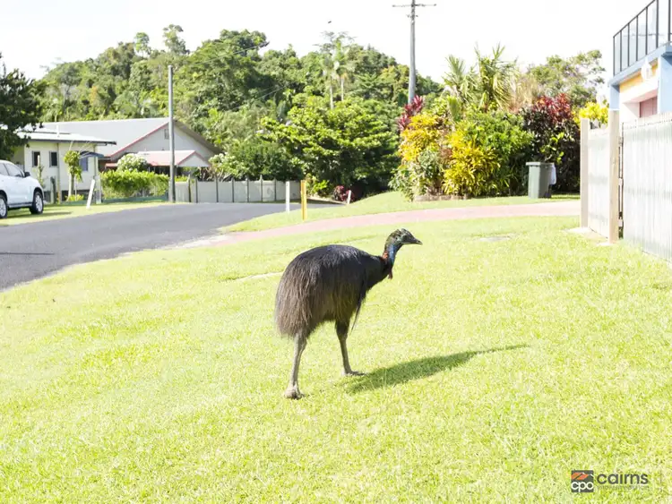 Sixth view of Homely house listing, 17 Coquette Point Road, Coquette Point QLD 4860