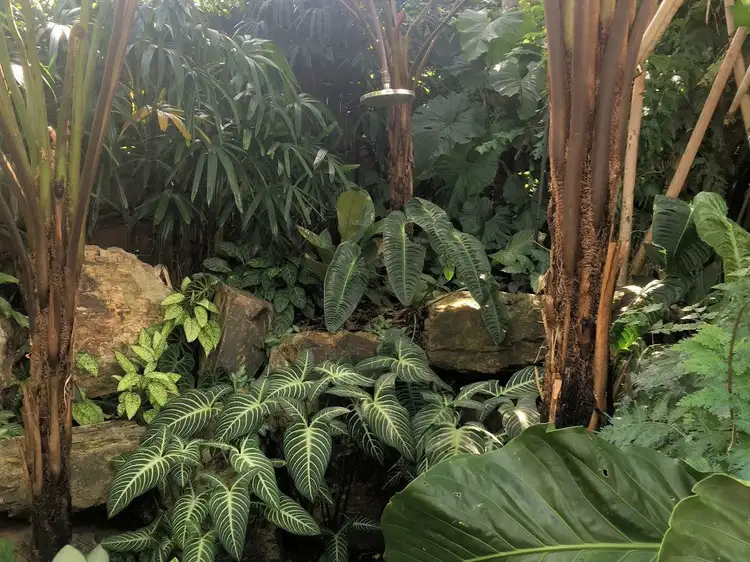 Fourth view of Homely house listing, 52 - 54 Hutchinson St, Whitfield QLD 4870