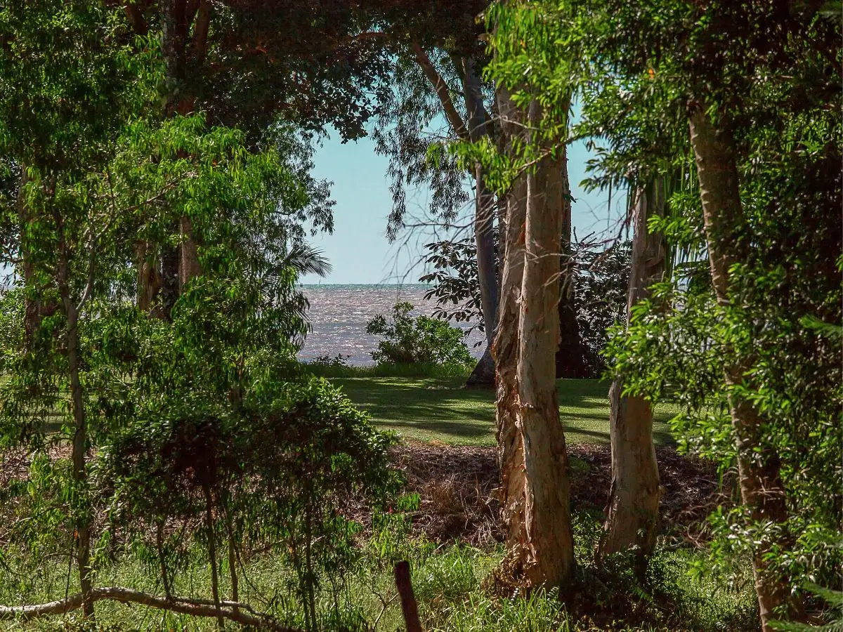 Main view of Homely house listing, 10 Paperbark Street, Bramston Beach QLD 4871