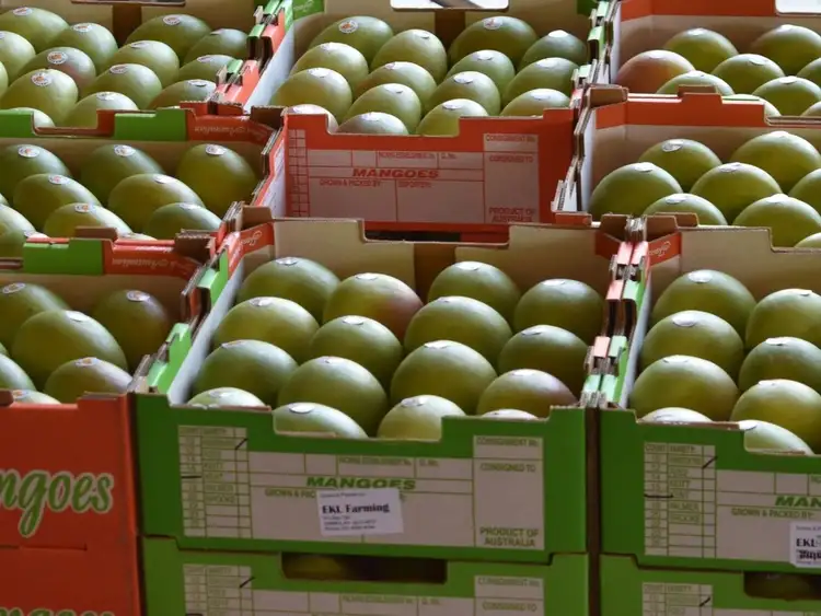 Third view of Homely rural property listing, 65249 Burke Development Road, Dimbulah QLD 4872