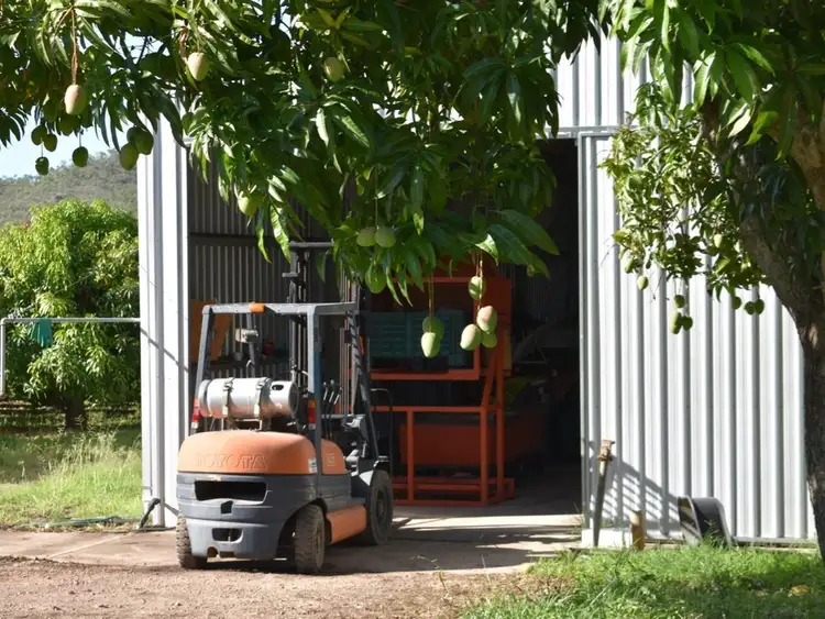 Seventh view of Homely rural property listing, 65249 Burke Development Road, Dimbulah QLD 4872