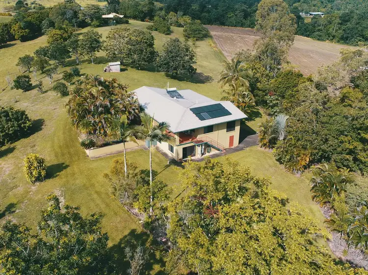 1249 Palmerston Highway, Coorumba QLD 4860