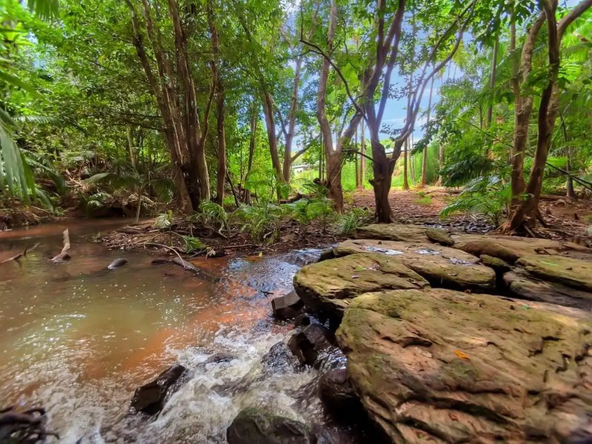 Main view of Homely house listing, 1 Ardmore Park Road, Kuranda QLD 4881