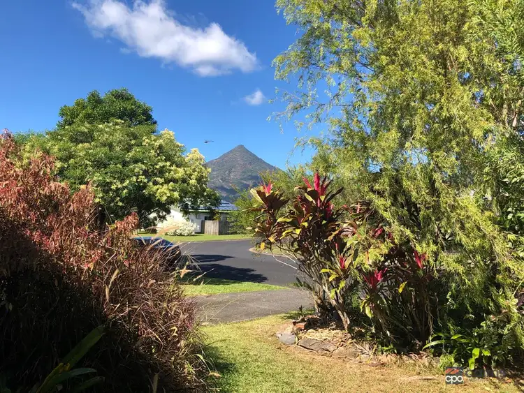 Main view of Homely house listing, 56 Murphy Street, Gordonvale QLD 4865