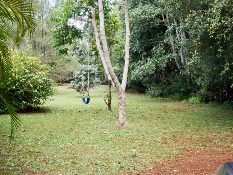 Sixth view of Homely rural property listing, 24 Burt Road, Malanda QLD 4885