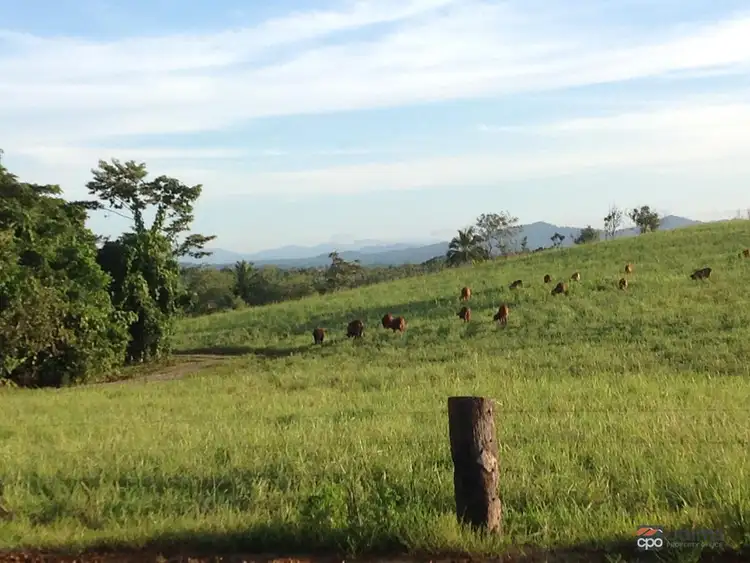 Sixth view of Homely rural property listing, Lot 2 and Lot 3 Buttigieg Access, Babinda QLD 4861