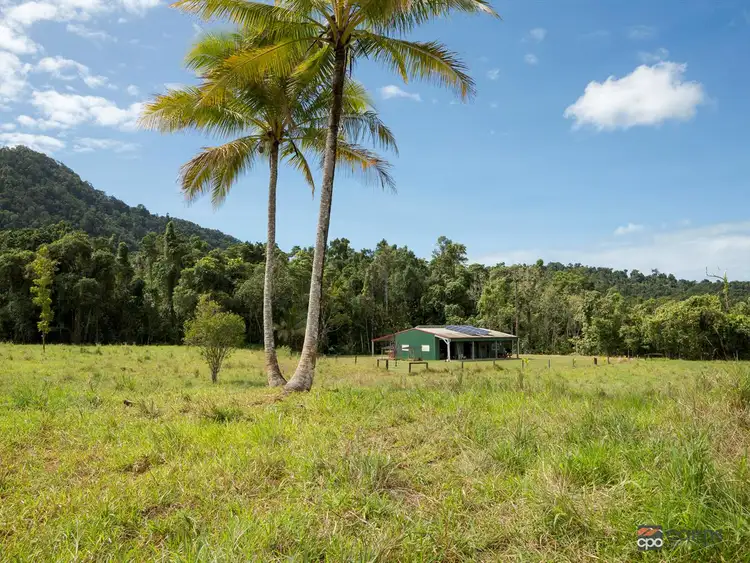 Seventh view of Homely rural property listing, Lot 2 and Lot 3 Buttigieg Access, Babinda QLD 4861