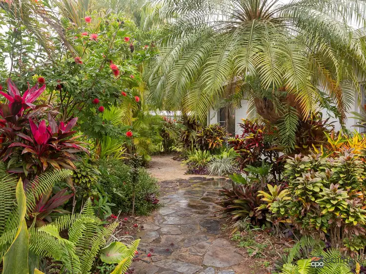 Second view of Homely house listing, 25 Sassafras Street, Bramston Beach QLD 4871