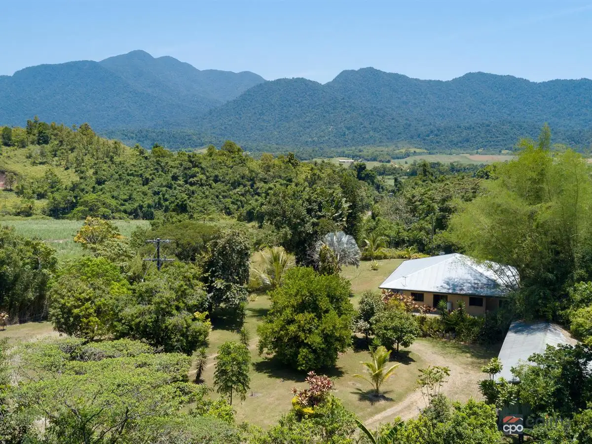 Main view of Homely rural property listing, 30 Friedli Access, Mirriwinni QLD 4871