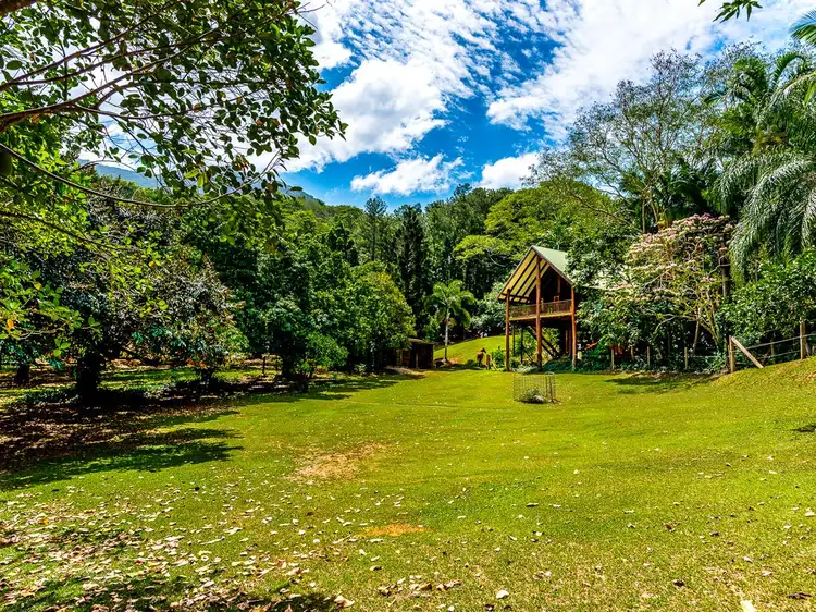 111-113 Harvey Road, Redlynch QLD 4870