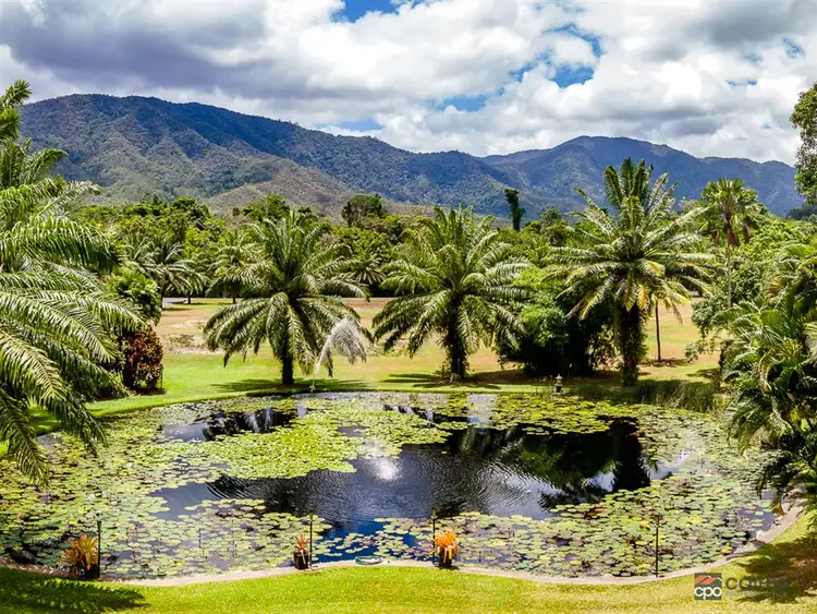 Seventh view of Homely rural property listing, 32-46 Nielsen Road, Little Mulgrave QLD 4865