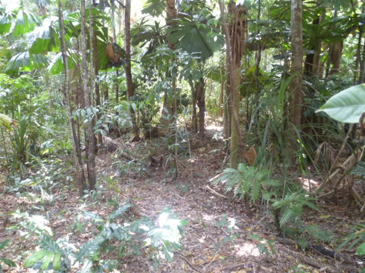 Main view of Homely land listing, LOT 80, 0 Greendale Court, Jubilee Heights QLD 4860