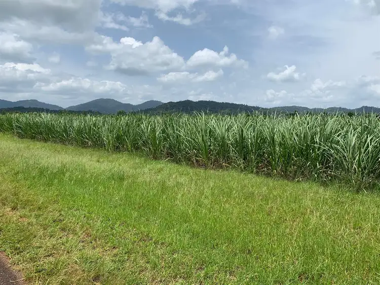 202 CAMP CREEK ROAD, Camp Creek QLD 4871