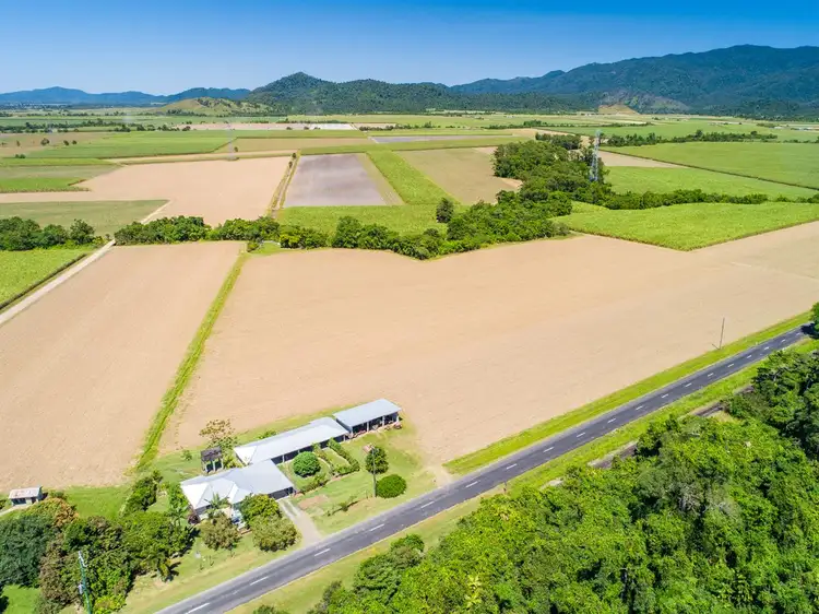Fourth view of Homely house listing, 443 Silkwood Japoon Road, Silkwood QLD 4856