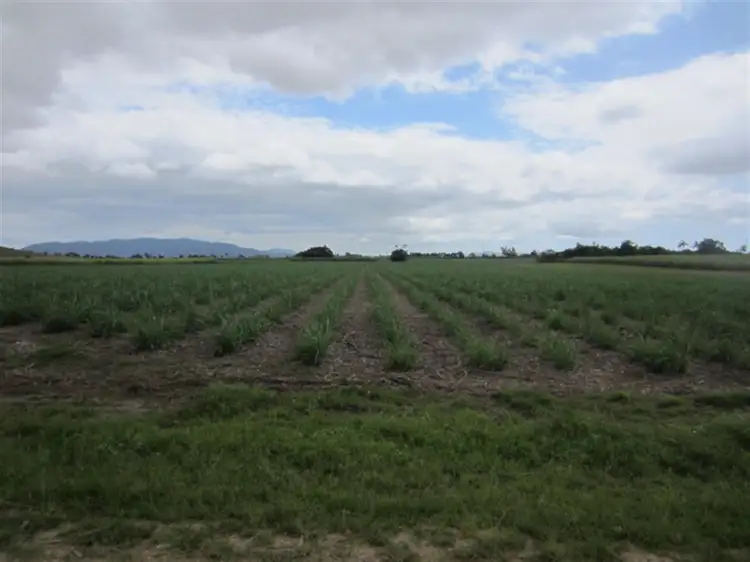 Main view of Homely rural property listing, 4 Hill Sixty Road, Jaffa, El Arish QLD 4855