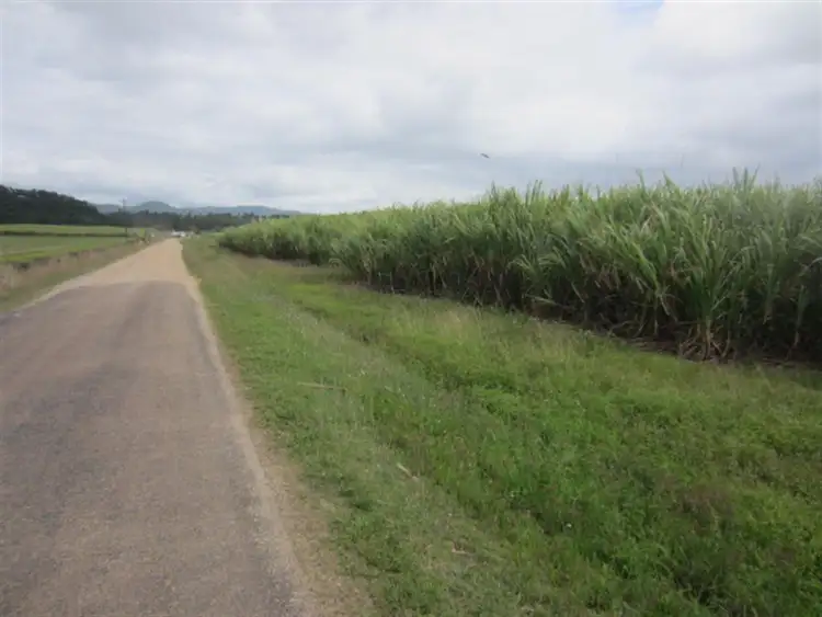 Fourth view of Homely rural property listing, 4 Hill Sixty Road, Jaffa, El Arish QLD 4855