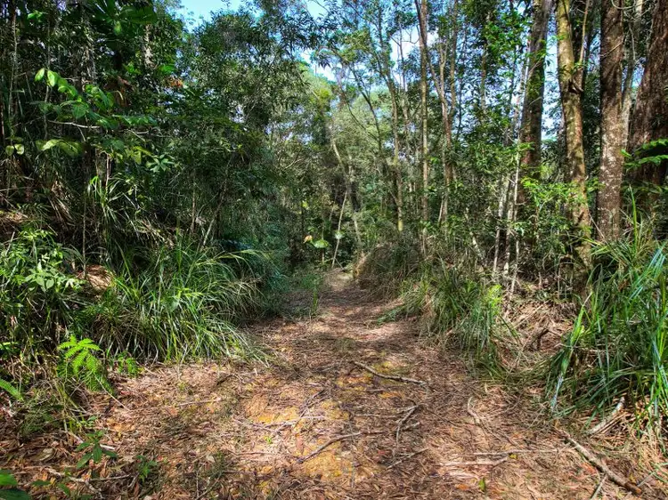 Fifth view of Homely land listing, L20 Forest Close, Forest Creek QLD 4873