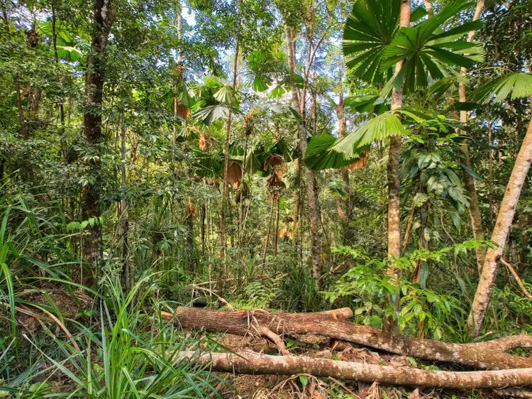 Seventh view of Homely land listing, L20 Forest Close, Forest Creek QLD 4873