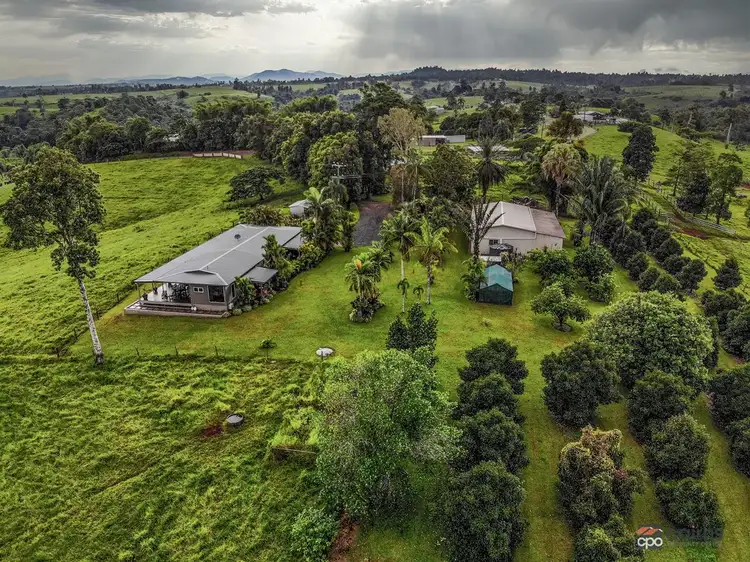 Main view of Homely house listing, 118 Ducrot Road, Upper Daradgee QLD 4860